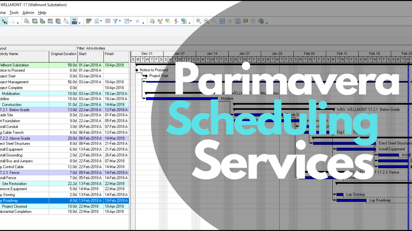 Parimavera Scheduling Services